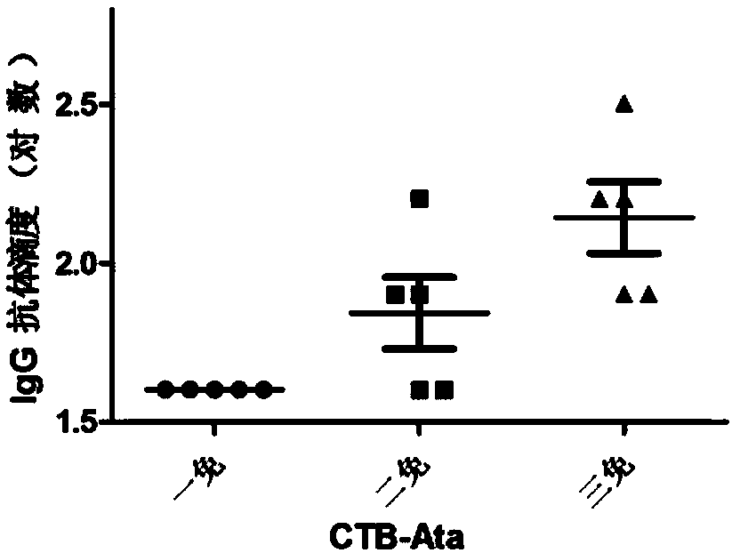 Ab (Acinetobacter baumannii) Ata (acinetobacter trimeric autotransporter) protein immunogenicity
