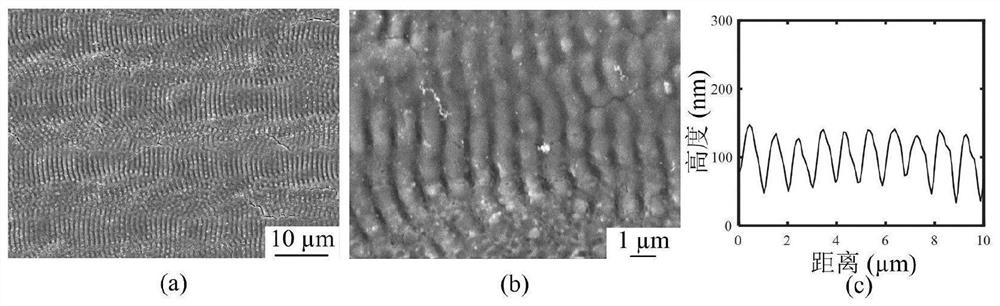 Method for preparing periodic microstructure on surface of titanium alloy through nanosecond laser irradiation