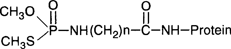 Methamidophos half-antigen, artificial antigen and its preparing method