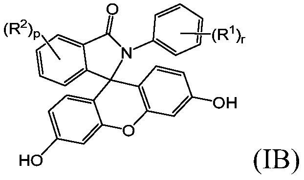 2-hydrocarbyl-3-(dihydroxyfluoresceinyl)phthalimidine monomers, methods of manufacture, and copolymers derived therefrom