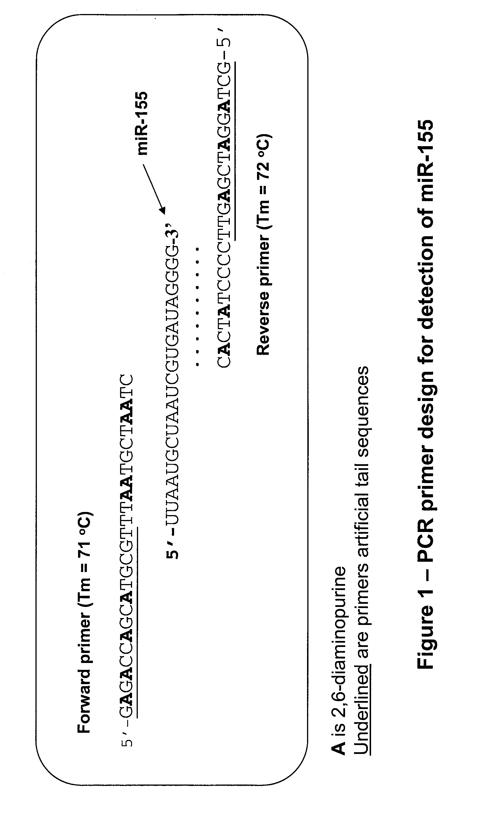 Methods, compositions and kits for the improved detection of small RNA molecules