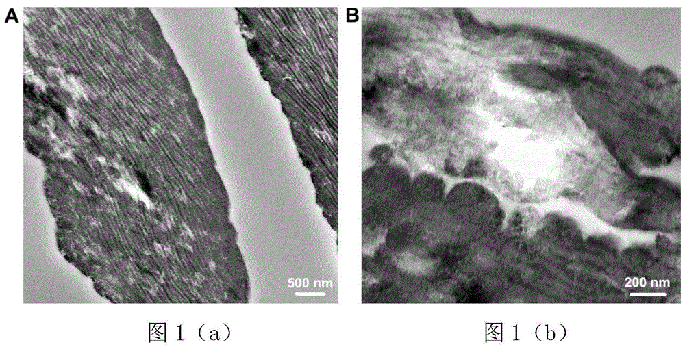 Construction method and application of an antibacterial biomimetic silicified collagen scaffold material