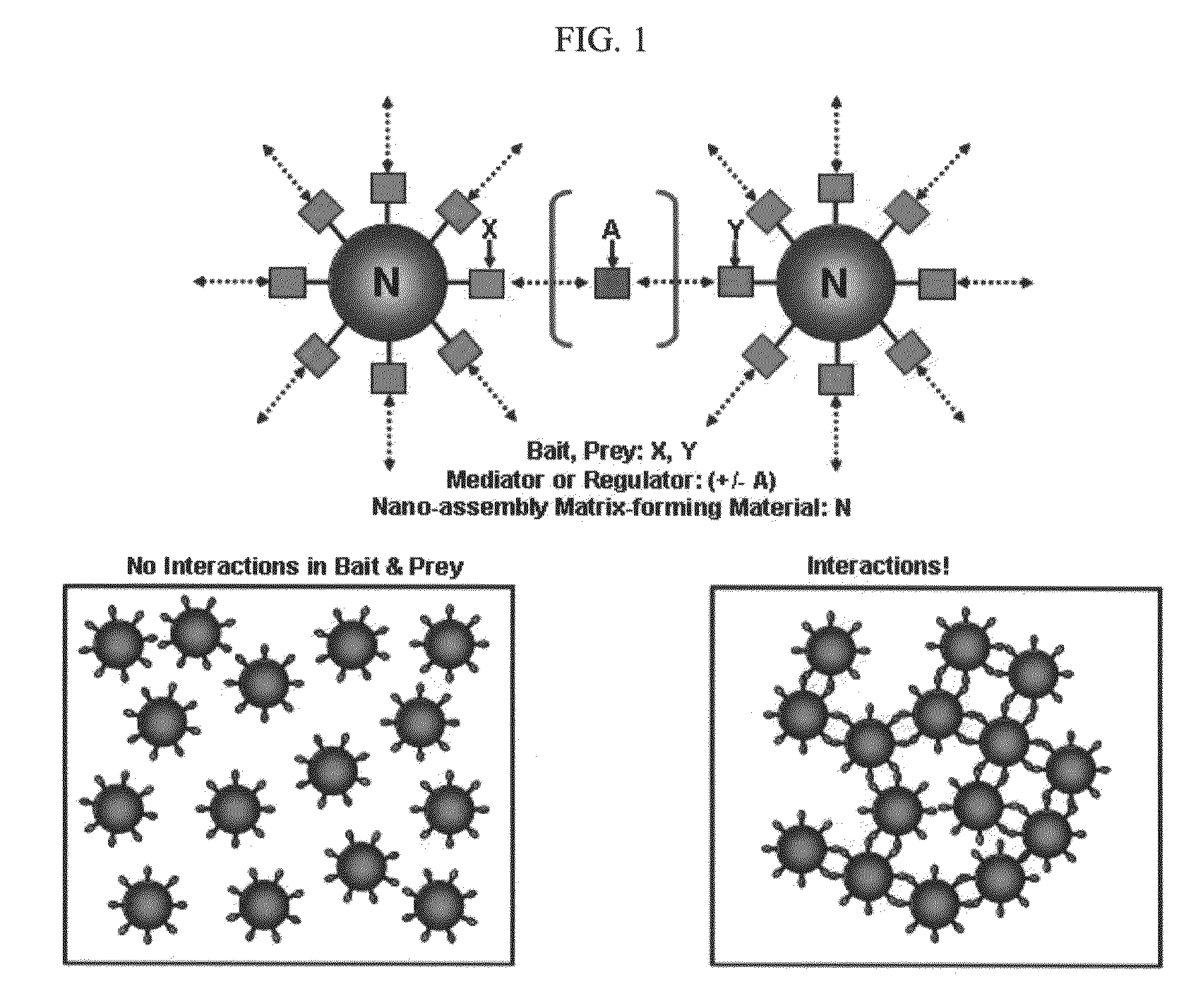 The methods for detecting molecular interactions