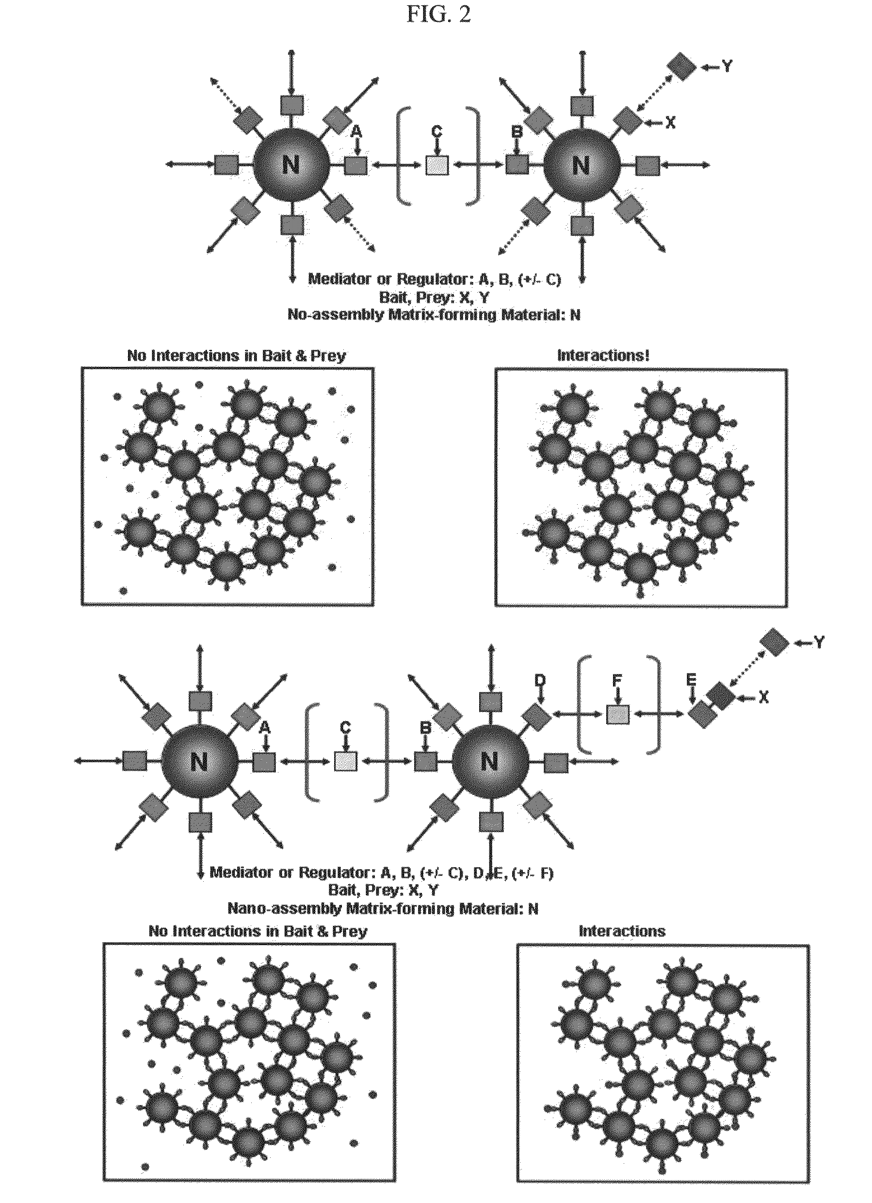 The methods for detecting molecular interactions