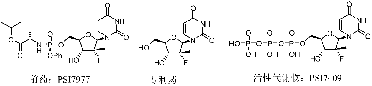 Novel cyclophosphate for the treatment of hcv infection