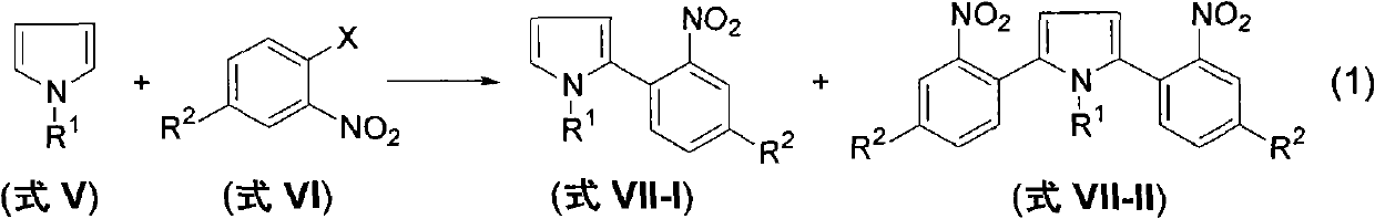 Method for preparing 2-(2-nitrophenyl) pyrrole and 2,5-bis(2-nitrophenyl) pyrrole compounds