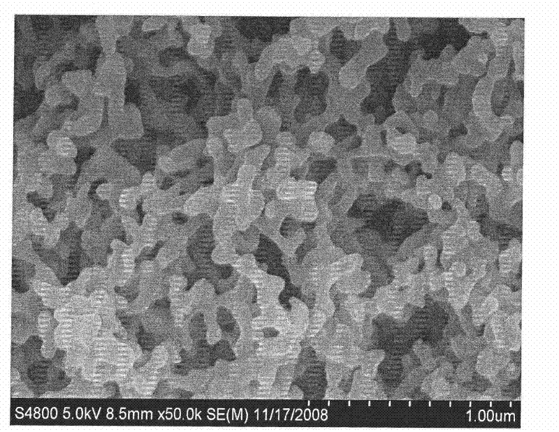 Surface modified titanium-calcium oxyoxalate electrorheological fluid and preparation method thereof