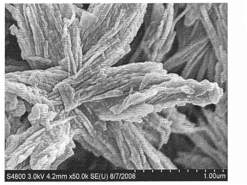 Surface modified titanium-calcium oxyoxalate electrorheological fluid and preparation method thereof