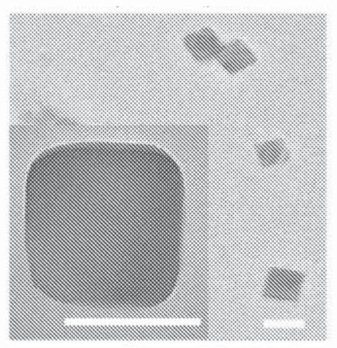 Salt nanoparticles and compositions and methods of use thereof