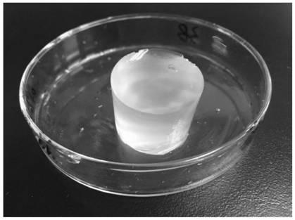 Method for preparing cellulose-based hydrogel by pretreating bagasse bleached pulp through mechanical ball milling