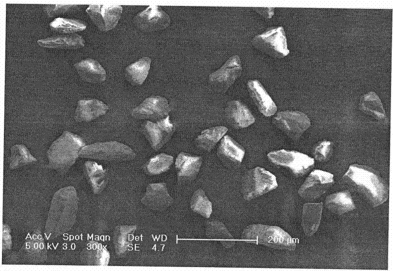 Method for preparing molecular imprinted polymer for recognizing chloromycetin, thiamphenicol and florfenicol simultaneously