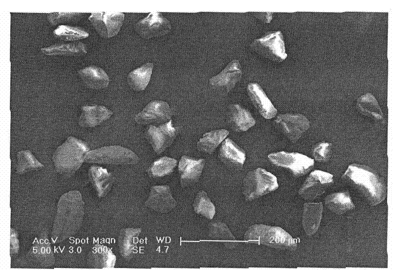 Method for preparing molecular imprinted polymer for recognizing chloromycetin, thiamphenicol and florfenicol simultaneously