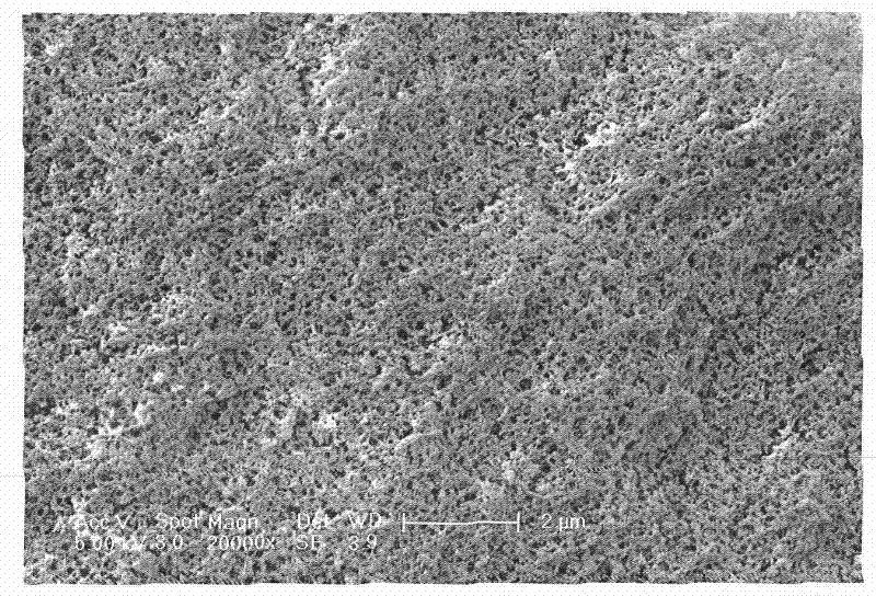 Method for preparing molecular imprinted polymer for recognizing chloromycetin, thiamphenicol and florfenicol simultaneously