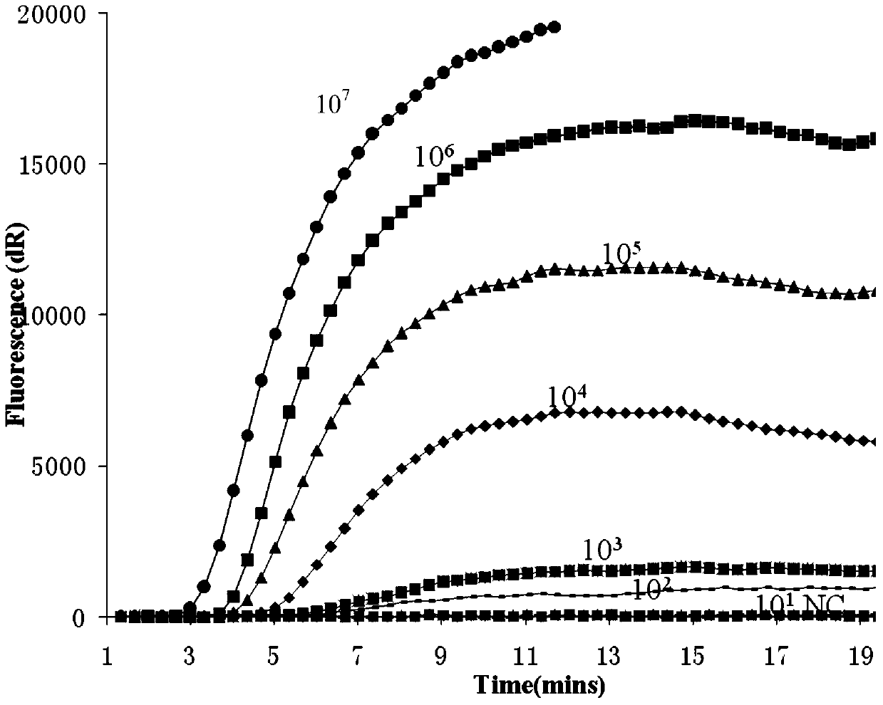 Real-time fluorescence rpa kit, test strip rpa kit and application thereof for rapid detection of sheep pox virus