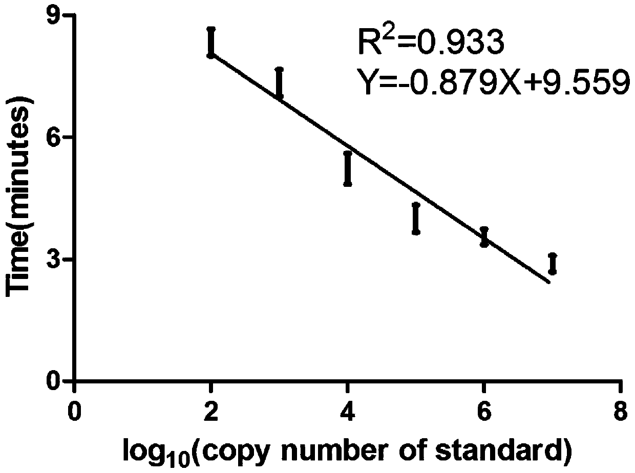 Real-time fluorescence rpa kit, test strip rpa kit and application thereof for rapid detection of sheep pox virus