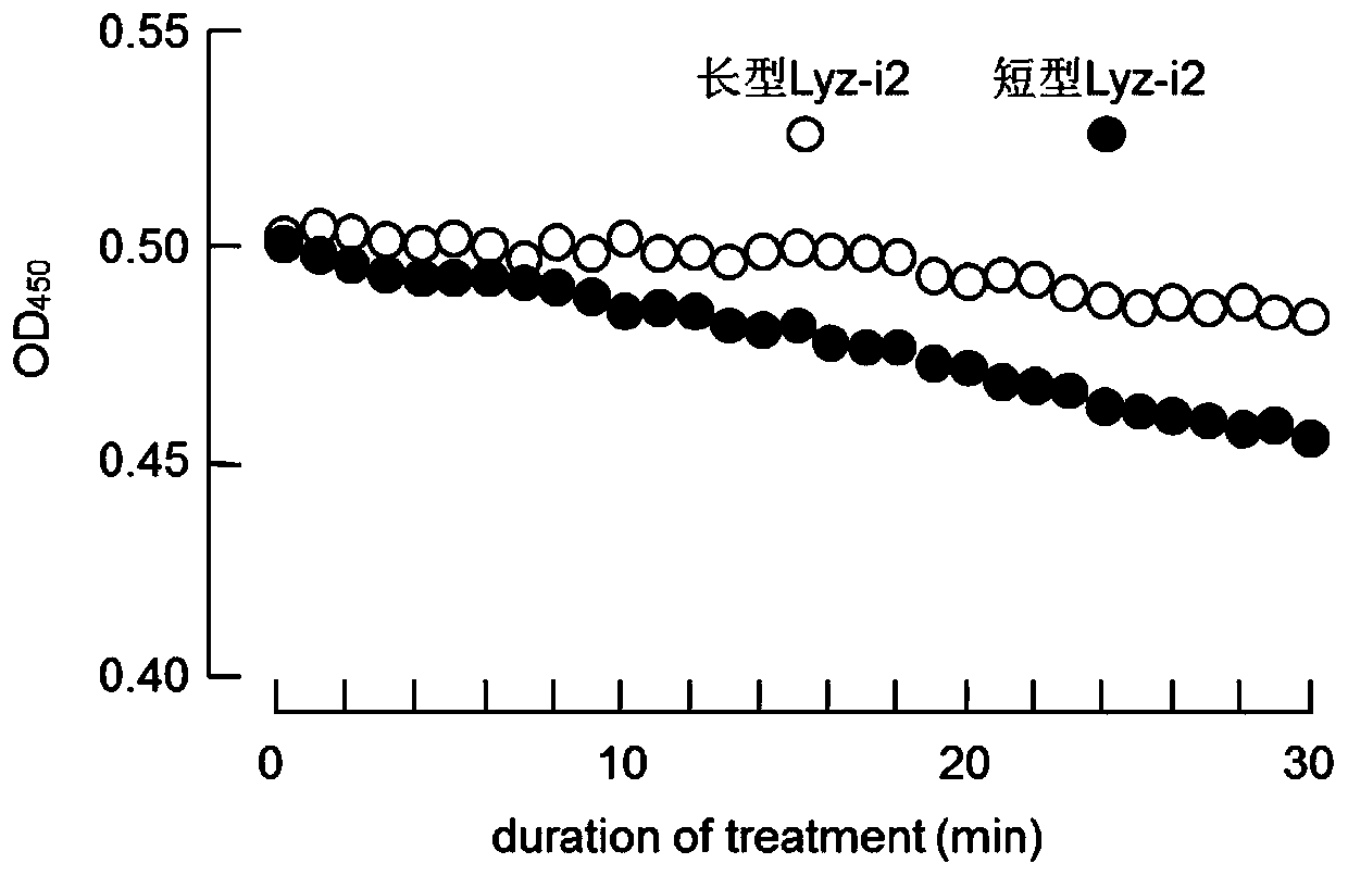 SNP marker for distinguishing ability of litopenaeus vannamei against vibrio harveyi infection and detection method thereof and application of SNP marker