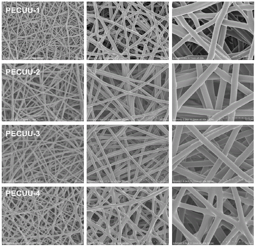 Biodegradable Polyurethane with Gradient Elastic Modulus and Its Fabricated Tissue Engineering Fibrous Scaffold
