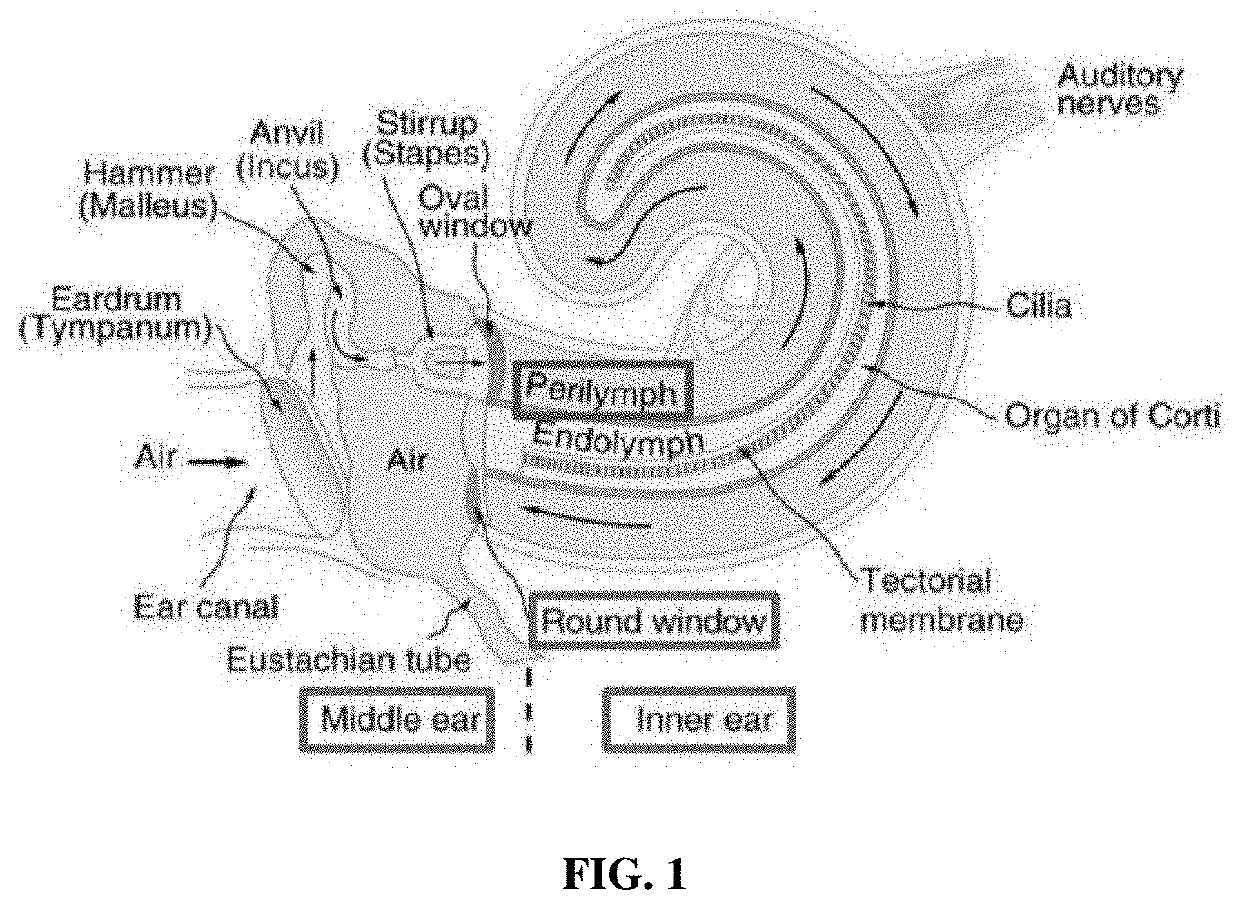 Self-gelling solutions for administration of therapeutics to the inner ear