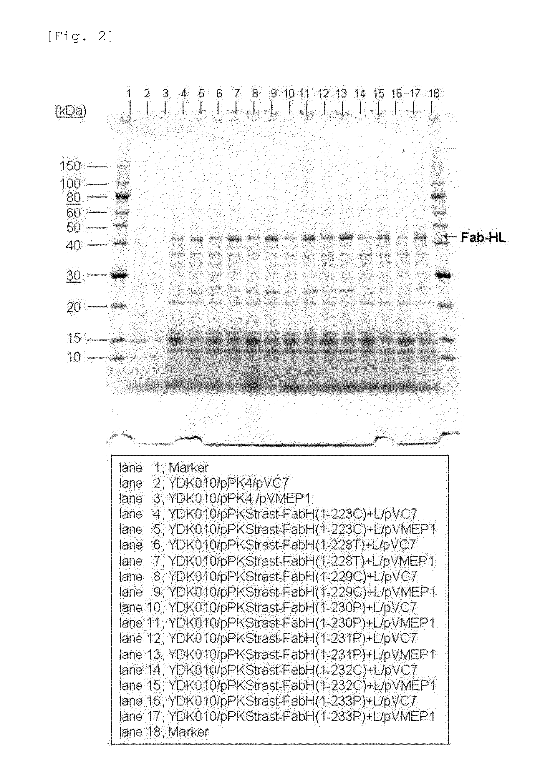 Method for Secretory Production of Protein