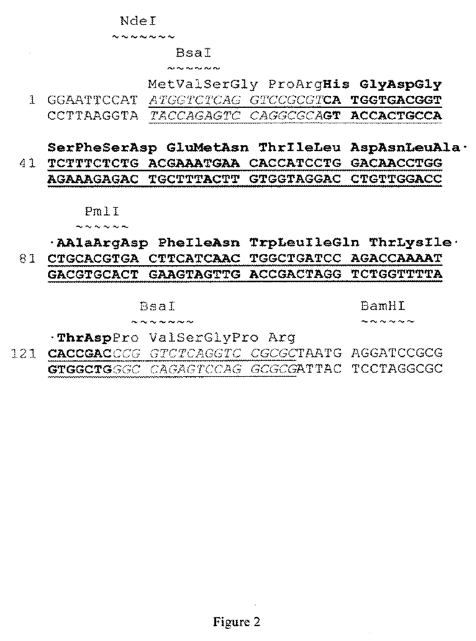 Production of glucagon like peptide 2 and analogs