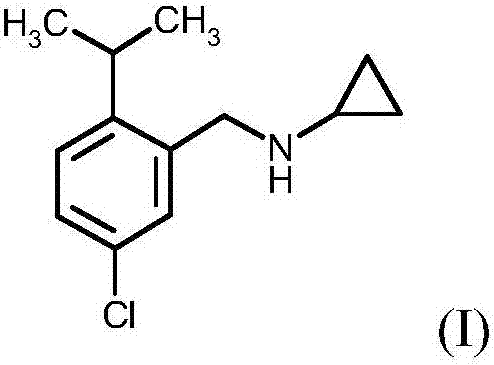 Process for preparing N-(5-chloro-2-isopropylbenzyl)cyclopropanamine
