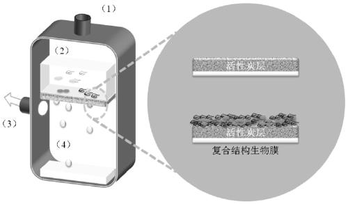 A method for constructing anode biofilm of microbial electrochemical system