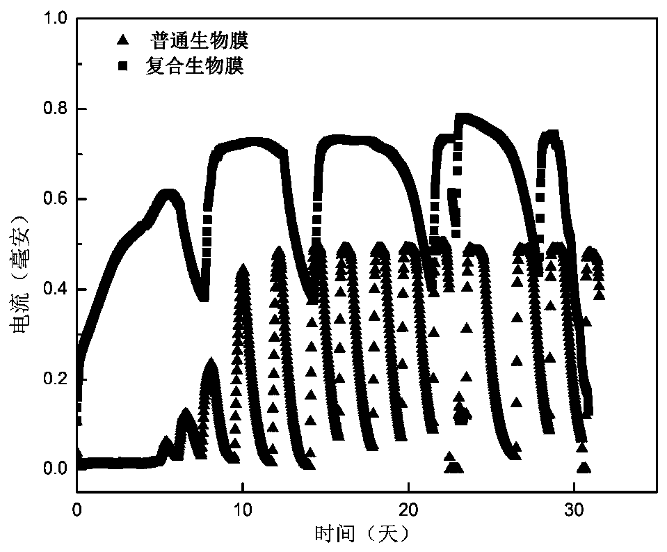 A method for constructing anode biofilm of microbial electrochemical system