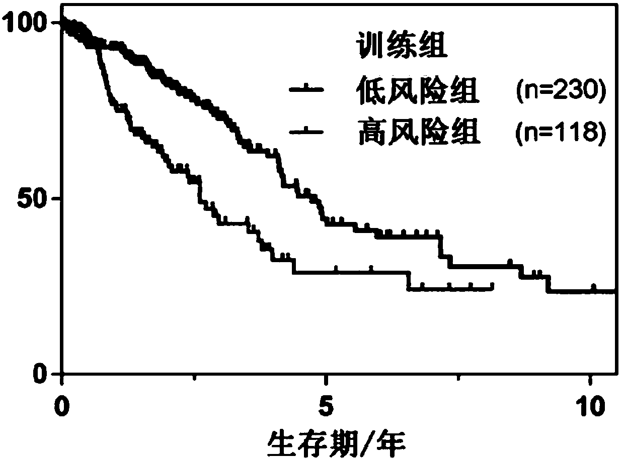 Mark used for prediction of prognosis of lung adenocarcinoma