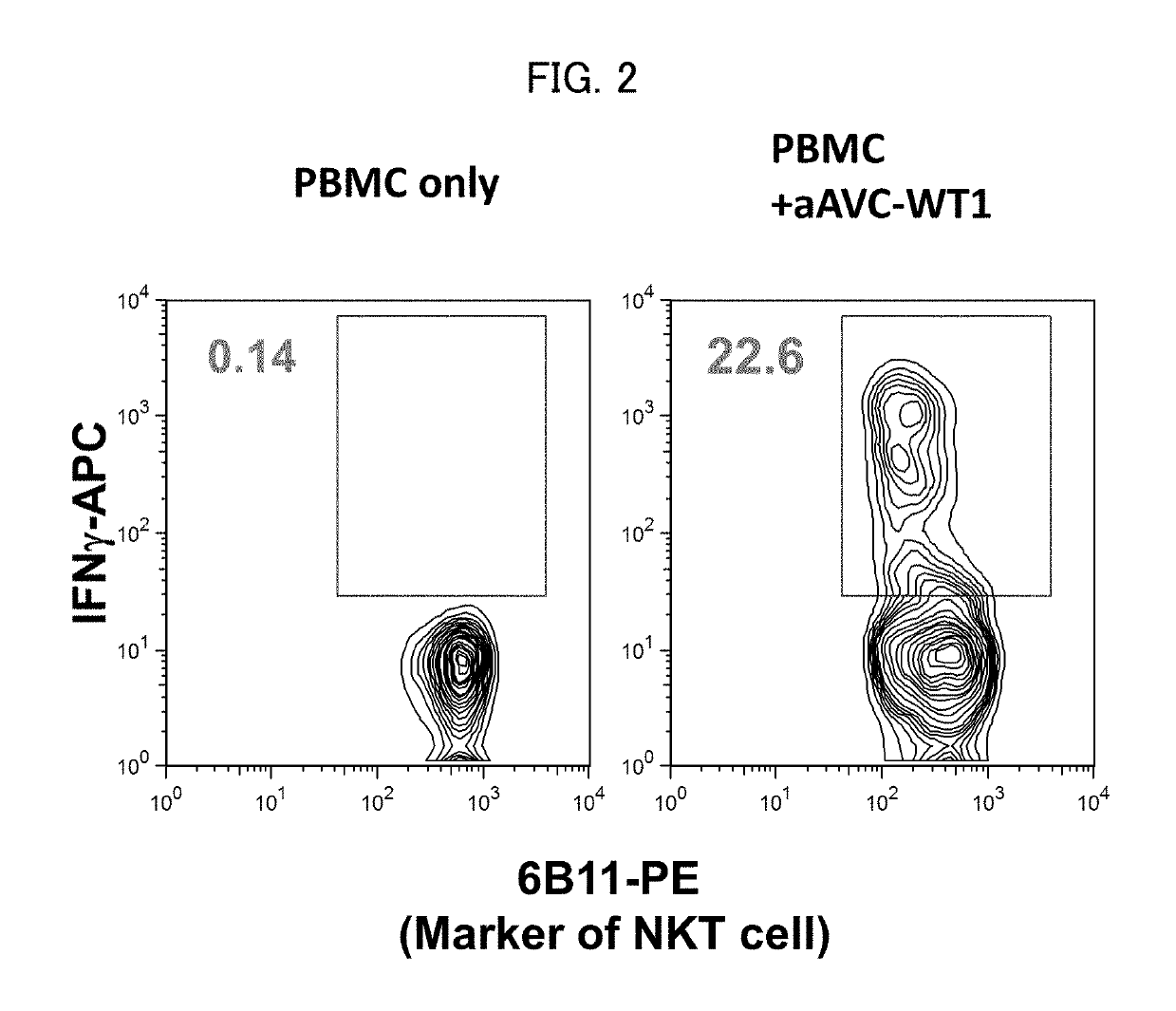 Cell for immunotherapy, including modified nucleic acid construct encoding Wilms tumor gene product
