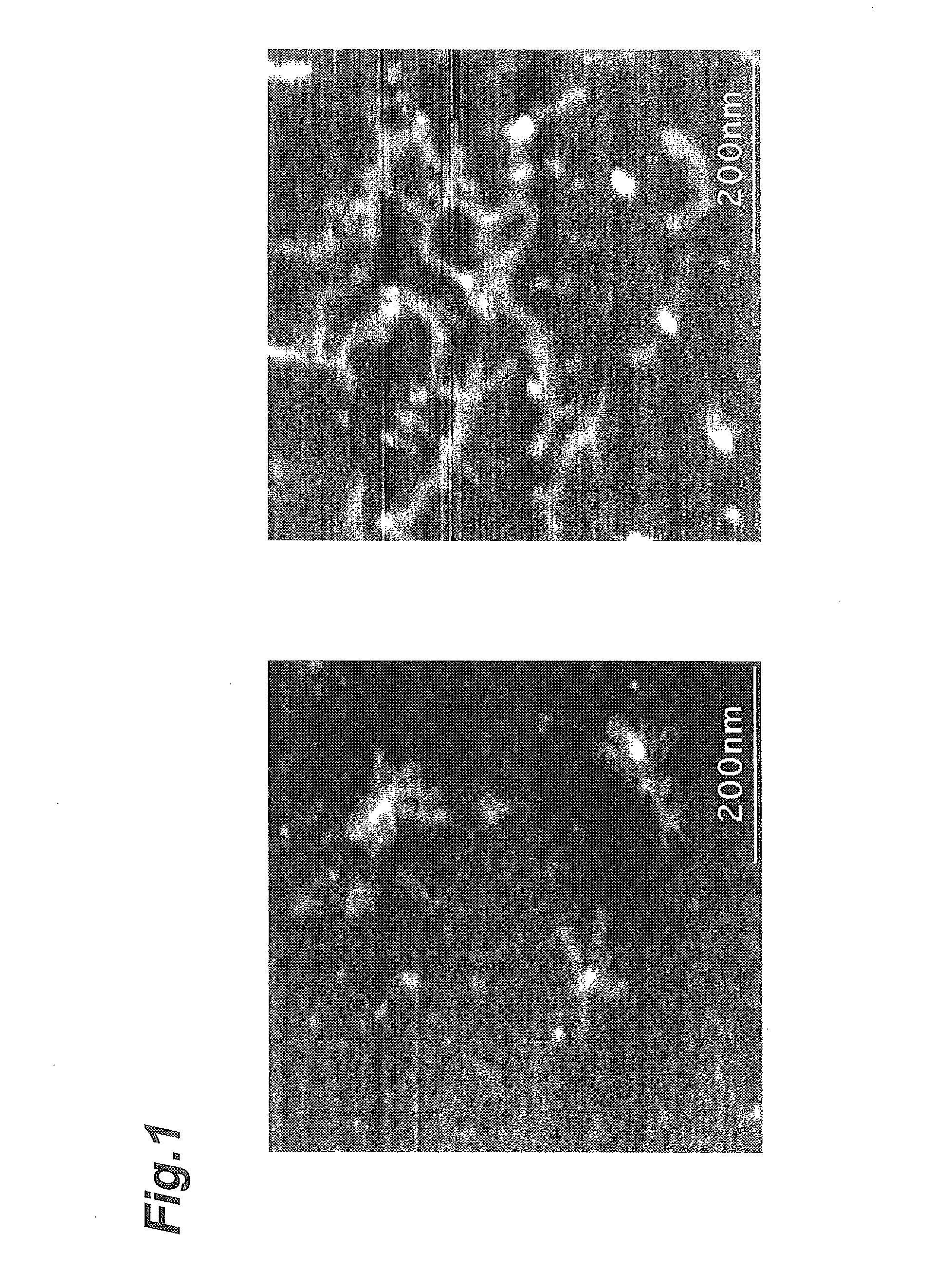 Pectic polysaccharide and method for producing same