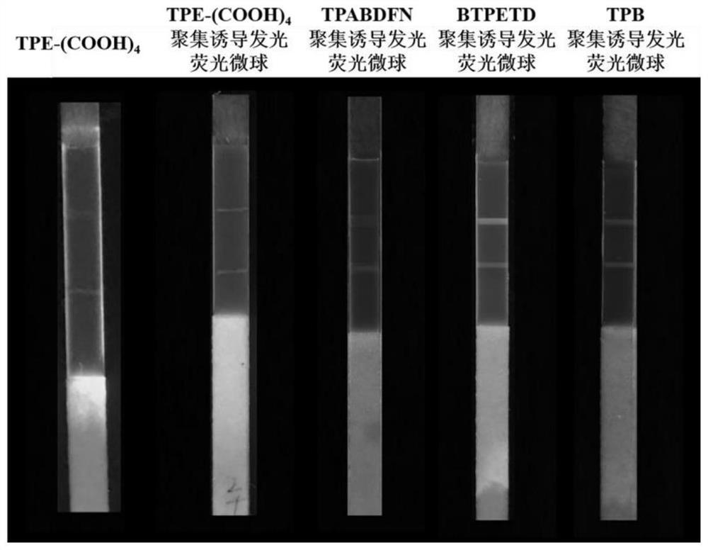 Aggregation-induced emission immunochromatography kit for detecting two nitrofuran metabolites and application thereof