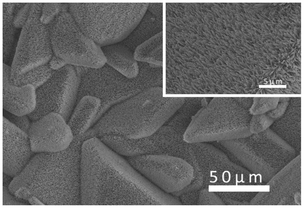 Hydroxyapatite coating with biological activity and hierarchical structure on surface of degradable magnesium-based endosteal implant and preparation method