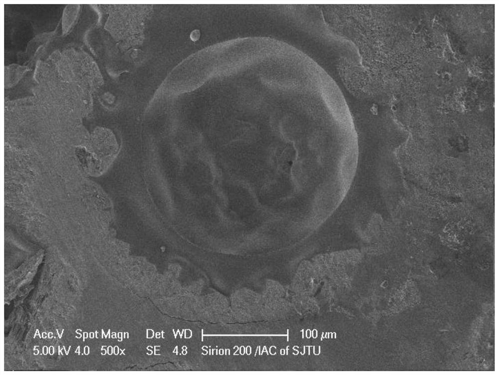 Hydroxyapatite coating with biological activity and hierarchical structure on surface of degradable magnesium-based endosteal implant and preparation method