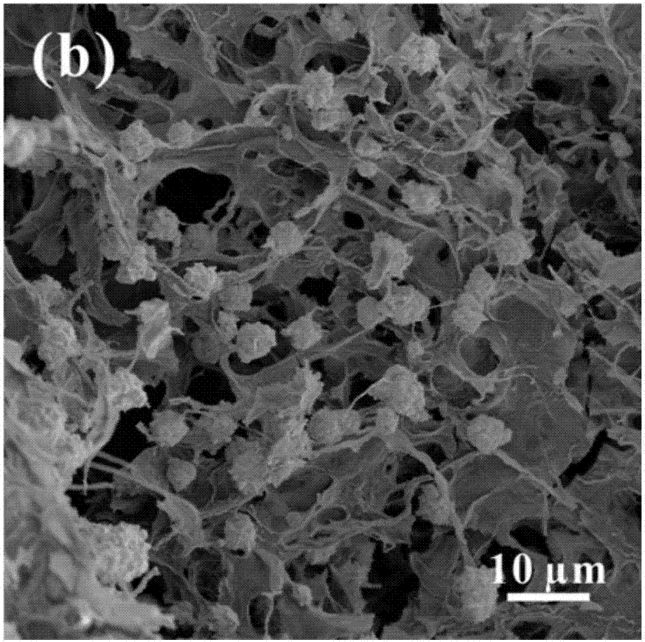 Preparation method of nickel sulfide particles/cellulose-based carbon aerogel materials