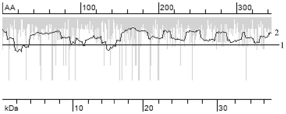 Coding sequence of fibronectin mutant with high expression quantity and strong activity and application of coding sequence