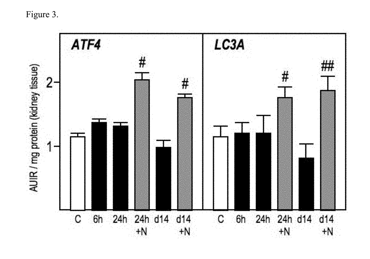 Modulation of epigenetic stress response