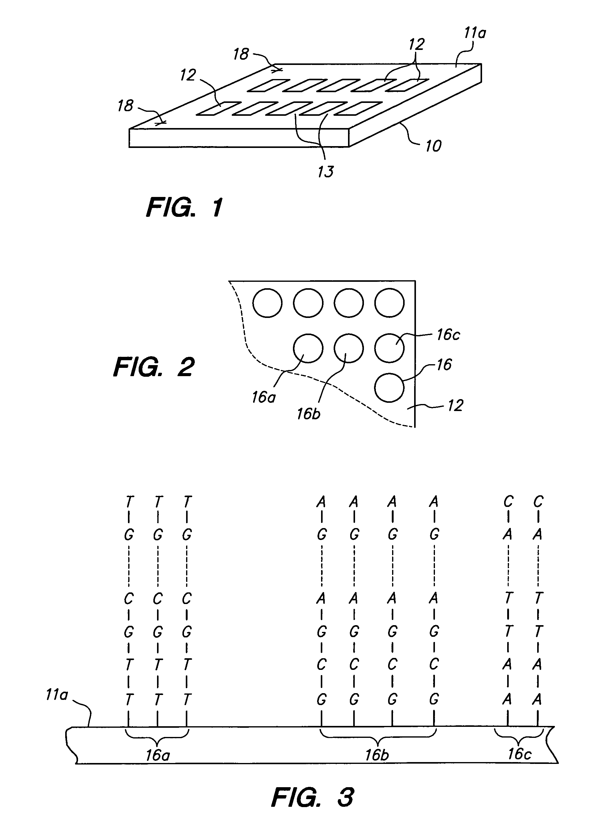 Methods of fabricating an addressable array of biopolymer probes