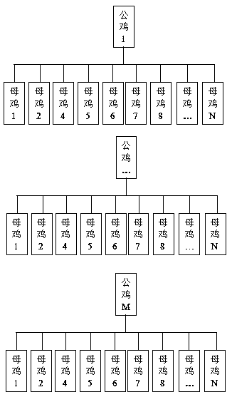 Chicken breed conservation and breeding group family coding tracing method and application