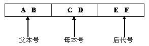 Chicken breed conservation and breeding group family coding tracing method and application