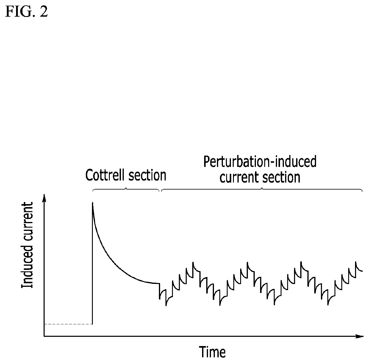 Apparatus and method for measuring concentration of an analyte in whole blood samples