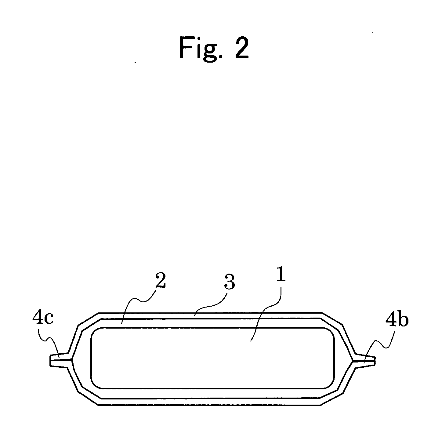 Sealed cell using film outer casing body