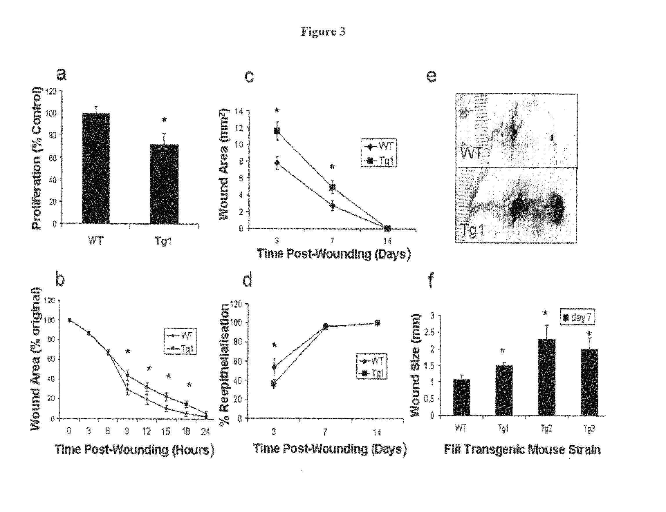 Methods and compositions for modulating wound repair