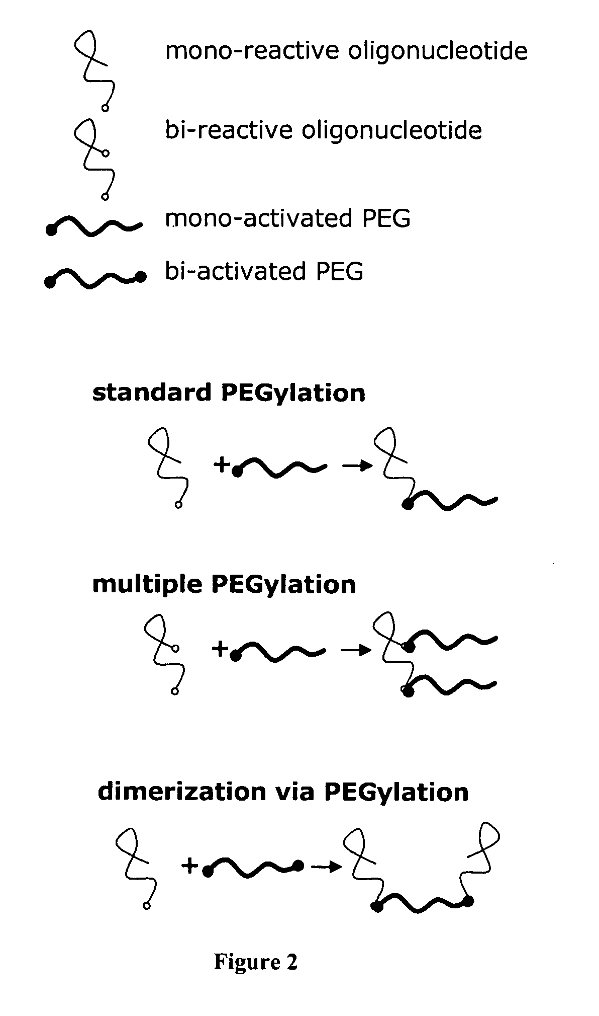 Multivalent aptamer therapeutics with improved pharmacodynamic properties and methods of making and using the same