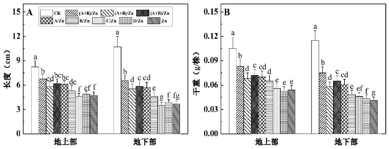 Composite seed soaking agent and application thereof in improving crop seed vigor and reducing zinc content of seedlings under zinc stress
