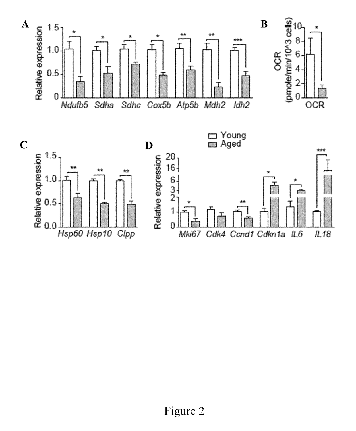 Agents and methods using thereof for the prevention and treatment of stem cell muscle disorders