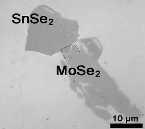 snse with vertical structure  <sub>2</sub> /mose  <sub>2</sub> Preparation method of novel heterojunction and modification method of its field effect performance