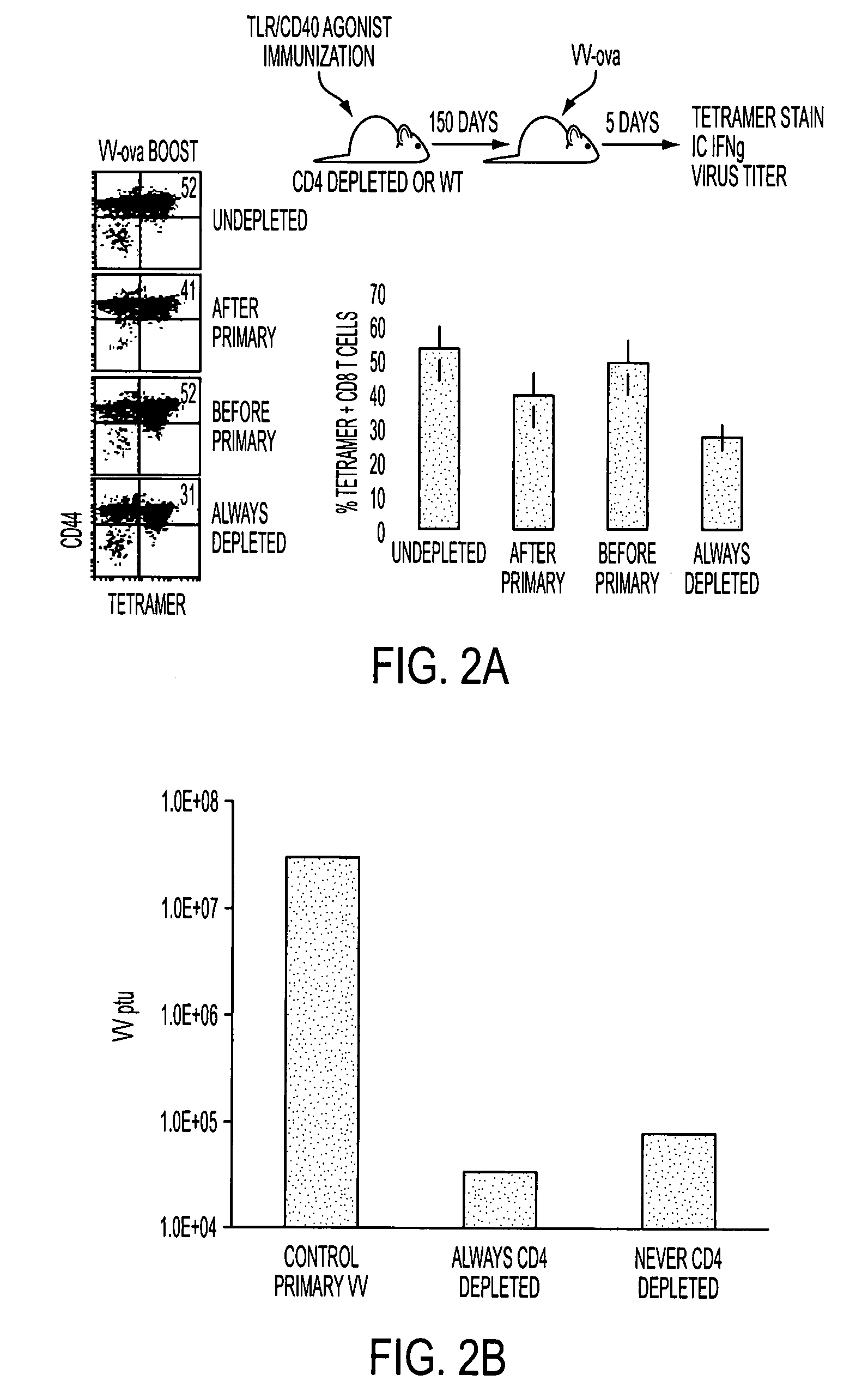 Tlr agonist (flagellin)/cd40 agonist/antigen protein and DNA conjugates and use thereof for inducing synergistic enhancement in immunity