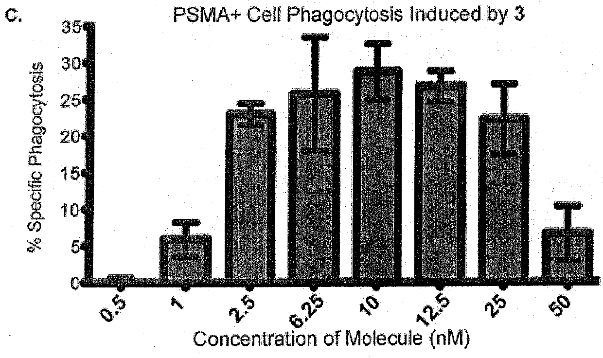 Synthetic antibody mimetic compounds (SYAMS) targeting cancer, especially prostate cancer
