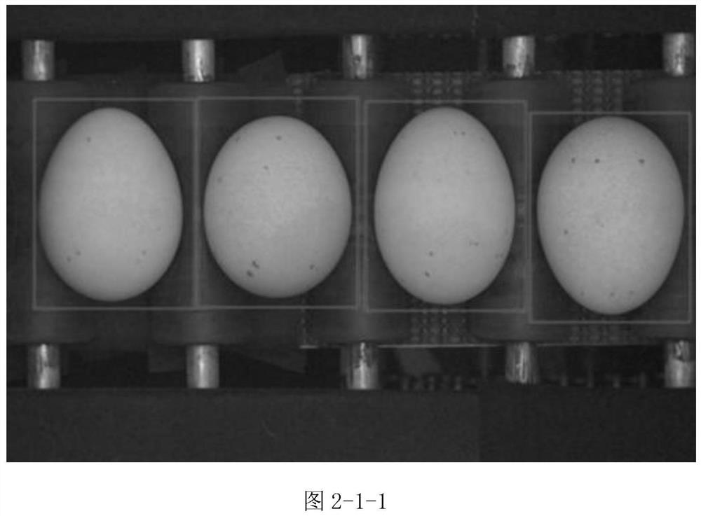 A machine vision-based online detection method and detection device for cracks in preserved eggs