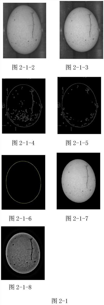 A machine vision-based online detection method and detection device for cracks in preserved eggs
